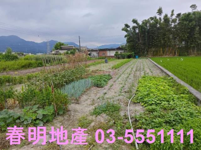 新竹芎林農地-4