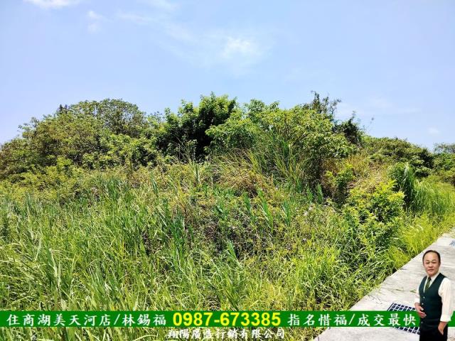 安南農地-5