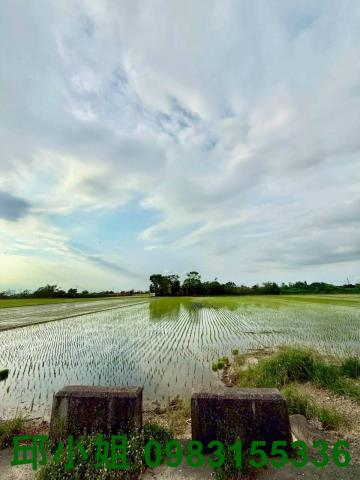 民雄農地-0