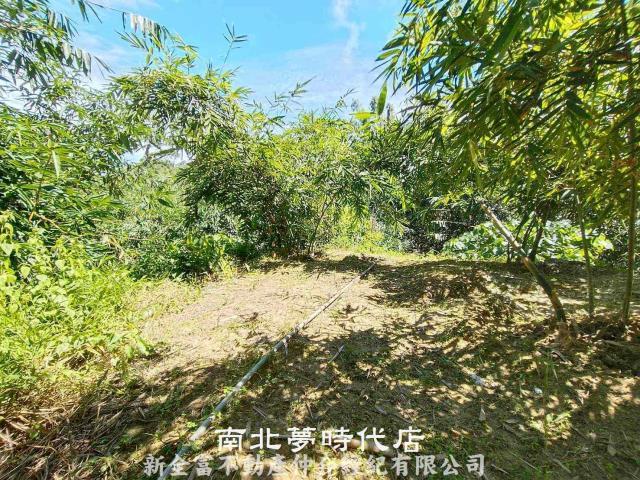 左鎮農地-9