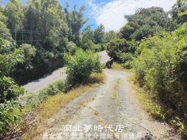 左鎮農地-13