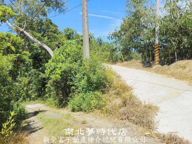 左鎮農地-14