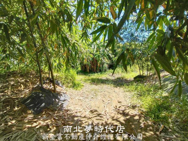 左鎮農地-1