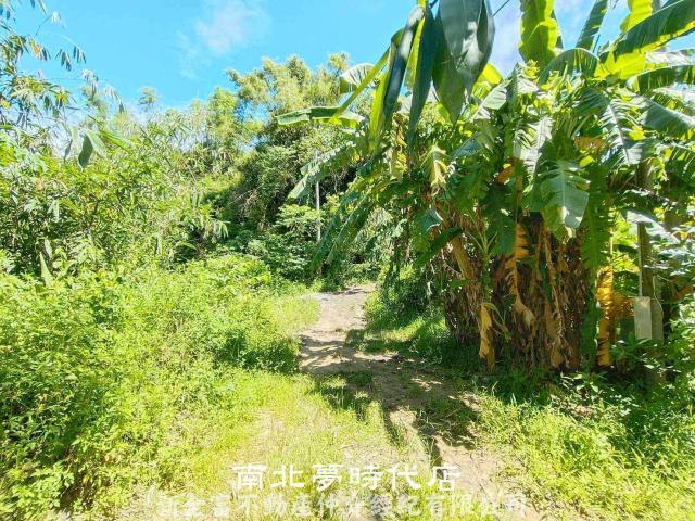 左鎮農地-2
