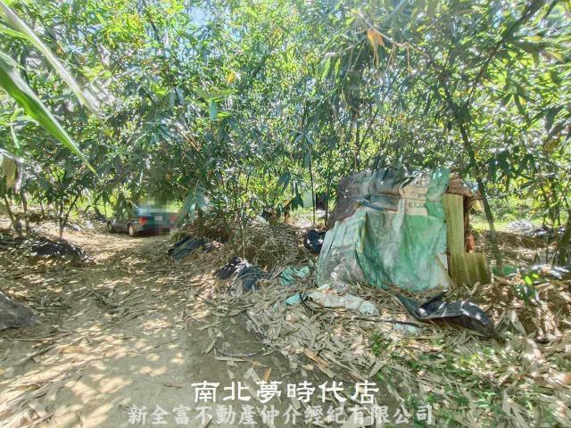 左鎮農地-3