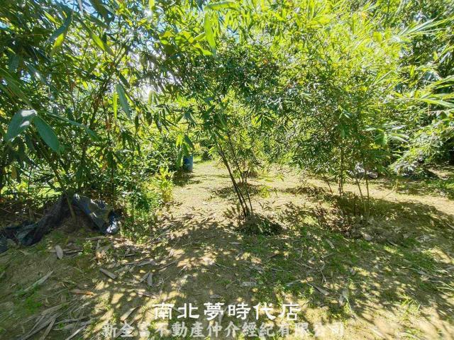 左鎮農地-5