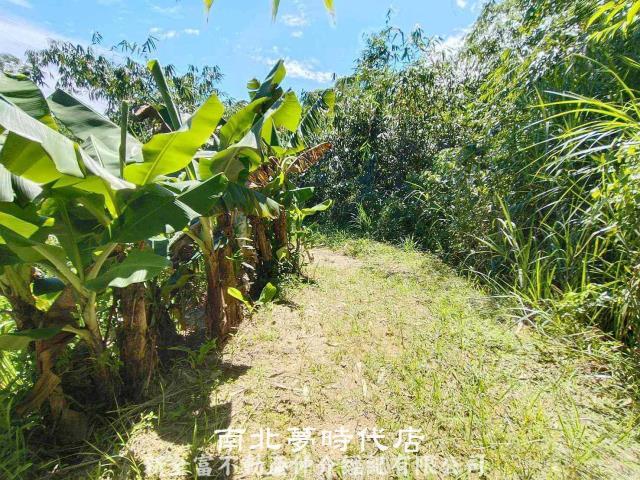 左鎮農地-7