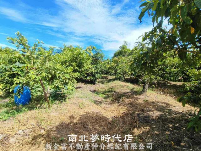 官田農地-7