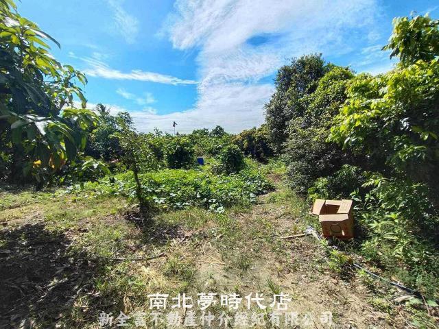 官田農地-8