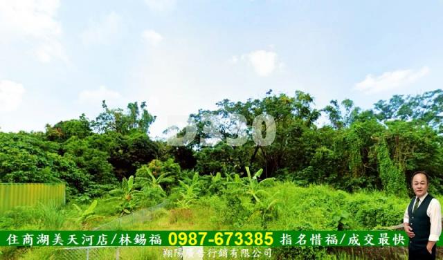 仁德農地-3