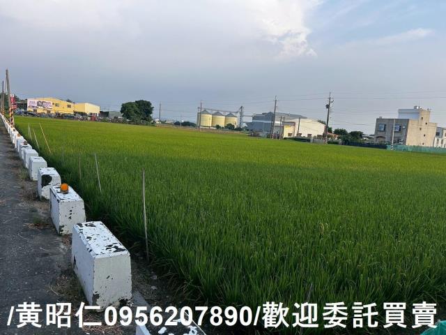 六甲農地-2