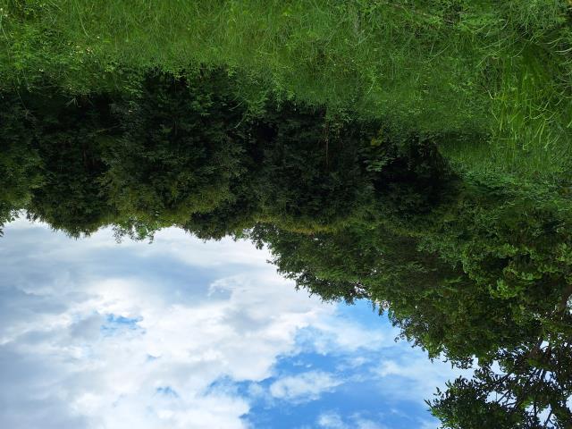左鎮農地-2