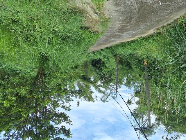 左鎮農地-3
