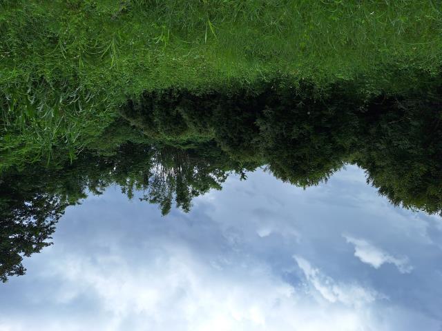 左鎮農地-5