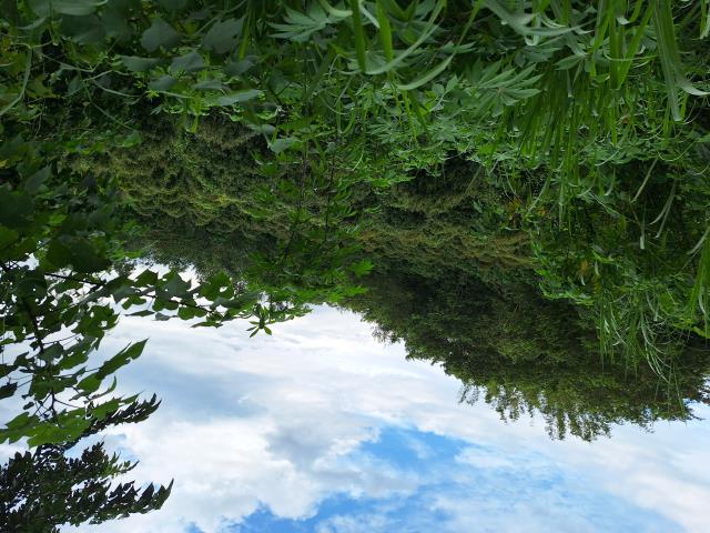 左鎮農地-6