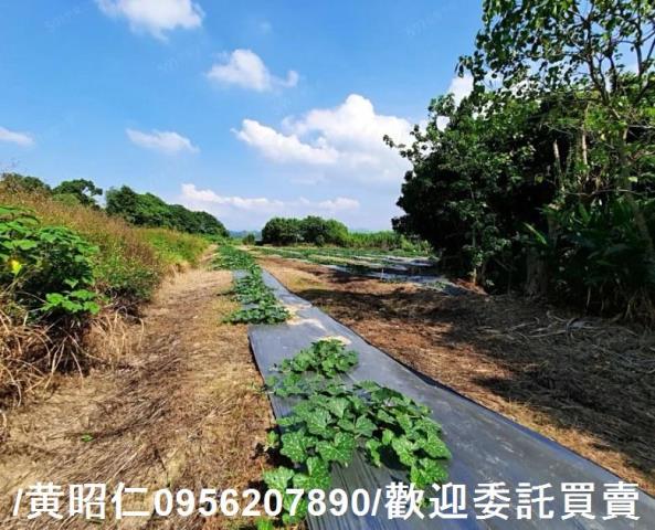 台南大內農地-0
