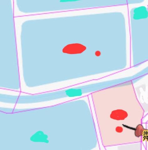 台南七股農地-10