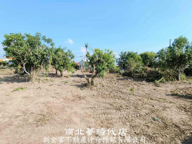 台南七股農地-4