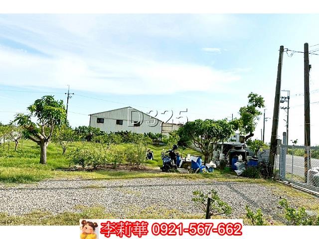 台南佳里農地-5