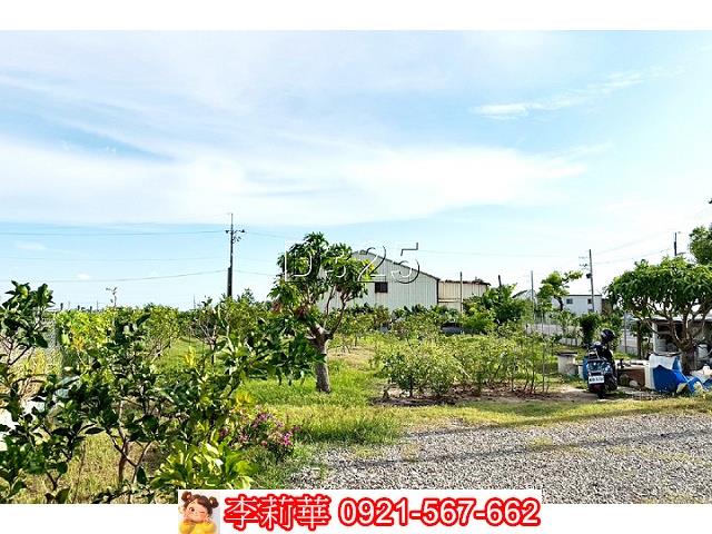 台南佳里農地-6