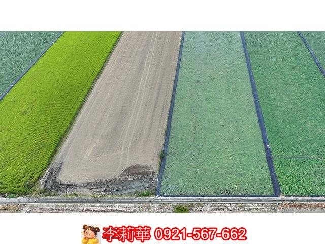 月潭段平整農地