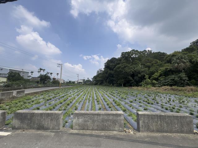 苗栗公館農地-1