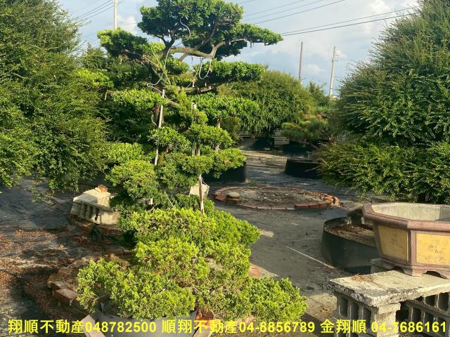 彰化秀水農地-12