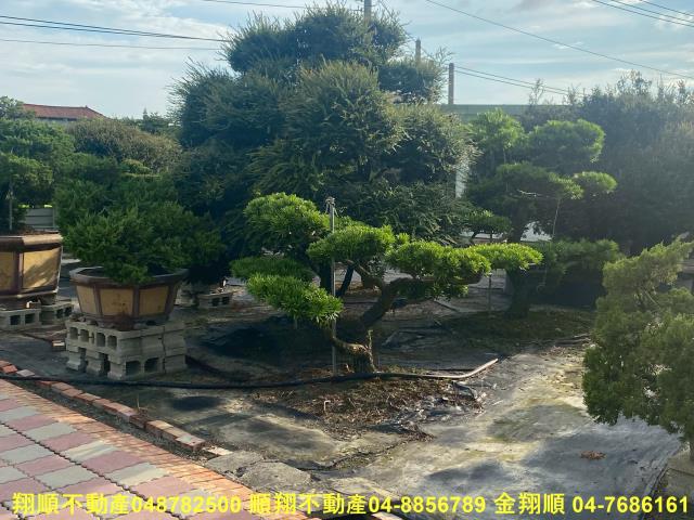 彰化秀水農地-13