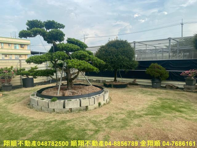 彰化秀水農地-14