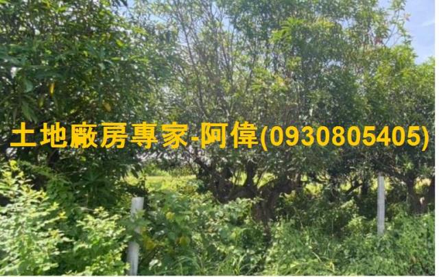 高雄岡山農地-0