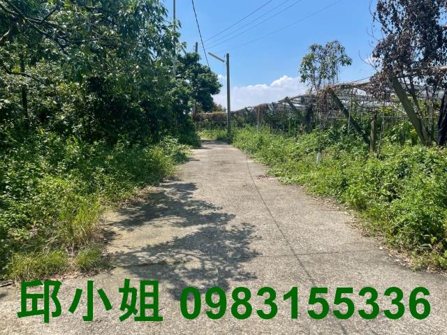 民雄都計內農地