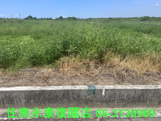 台南農地-0