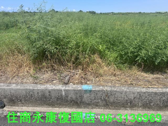 台南農地-4