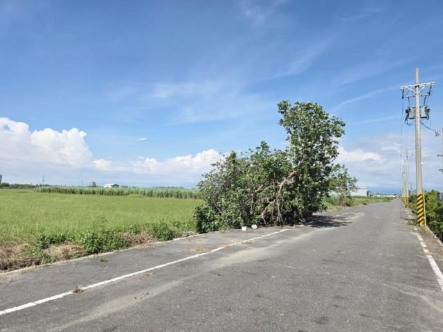 台南農地-1