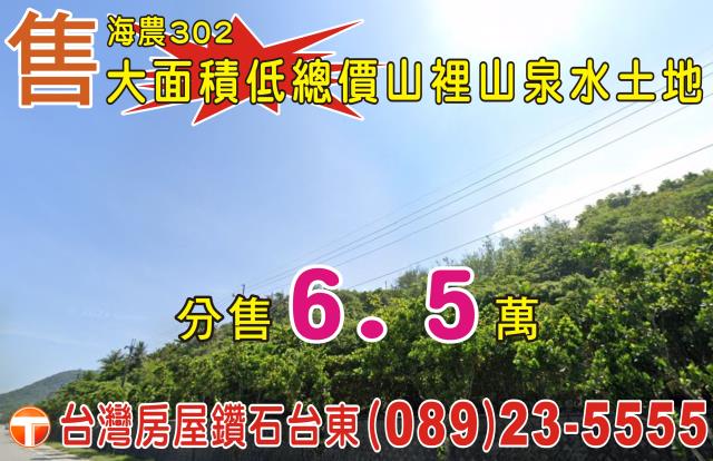 台東成功農地-1