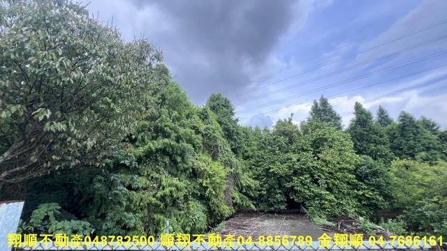 彰化社頭農地-0