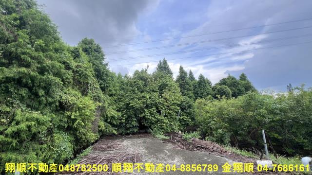彰化社頭農地-1