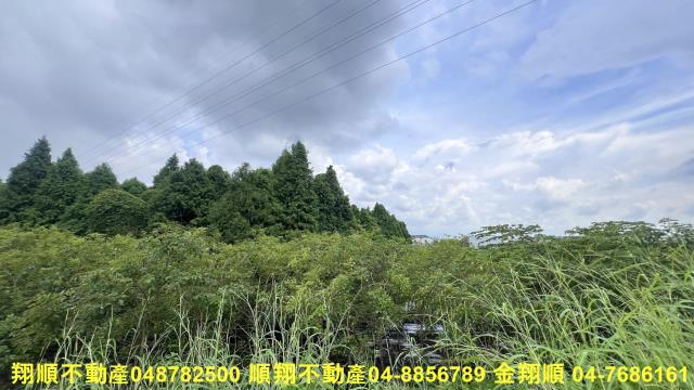 彰化社頭農地-3