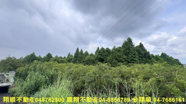 彰化社頭農地-4