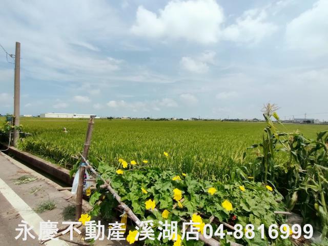彰化溪湖埔鹽埤頭二林秀水福興建地工業用地田地農地店面透天別墅