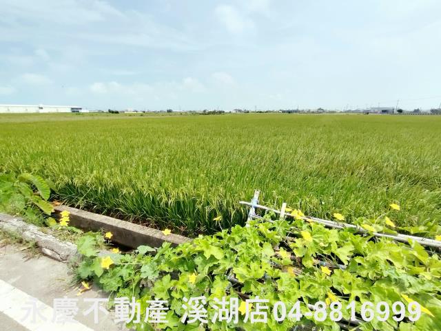 彰化埔鹽農地-5