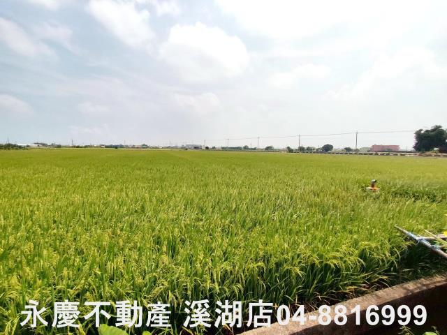 彰化埔鹽農地-7