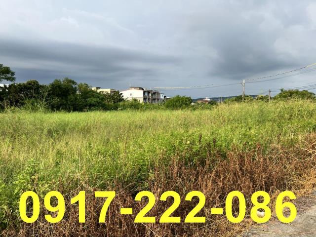 高雄岡山農地-0