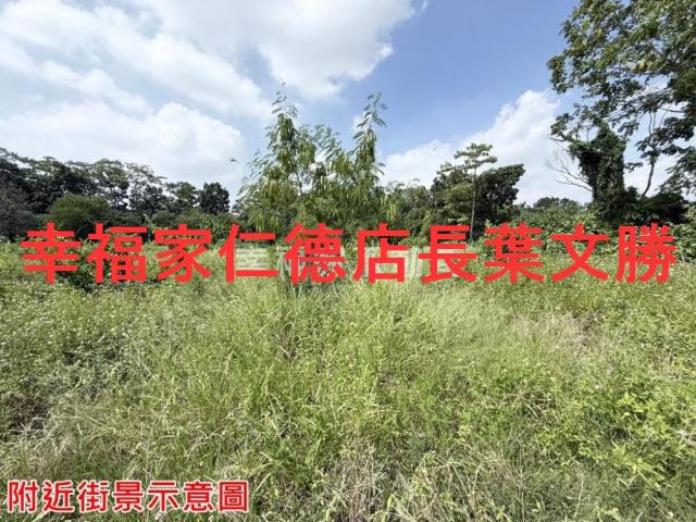 台南新化農地-4