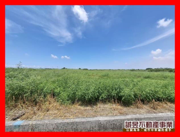 台南七股農地-0