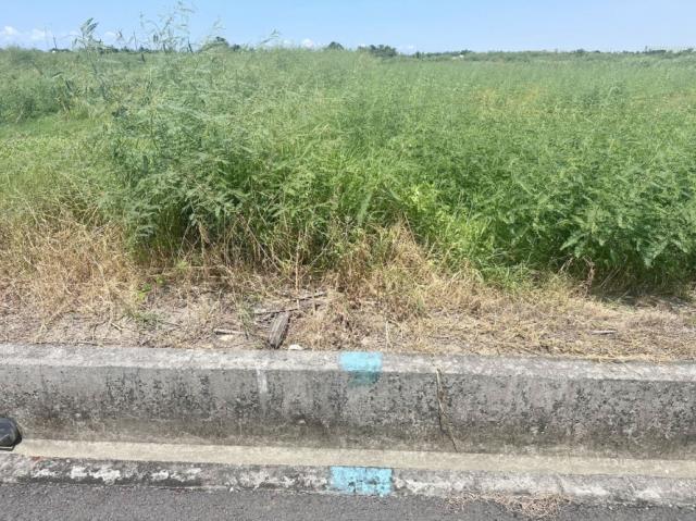 台南七股農地-6