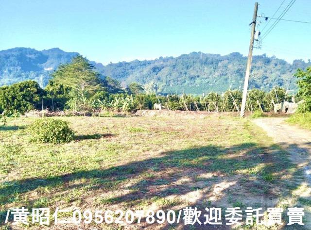 台南楠西農地-2