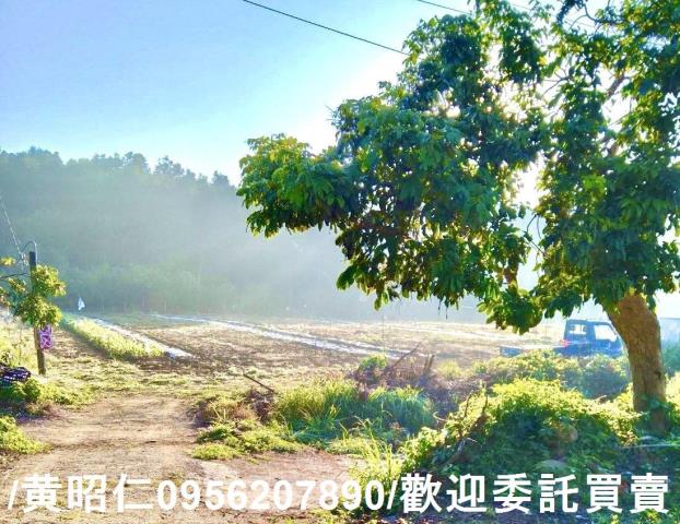 台南楠西農地-3