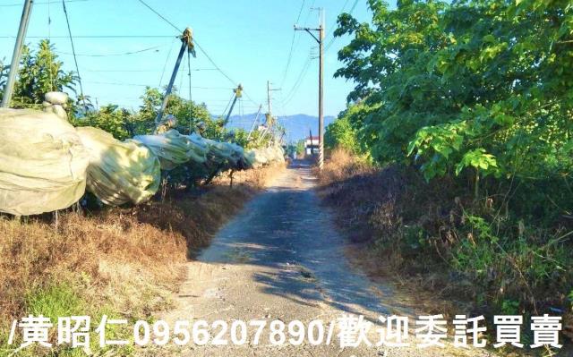 台南楠西農地-4