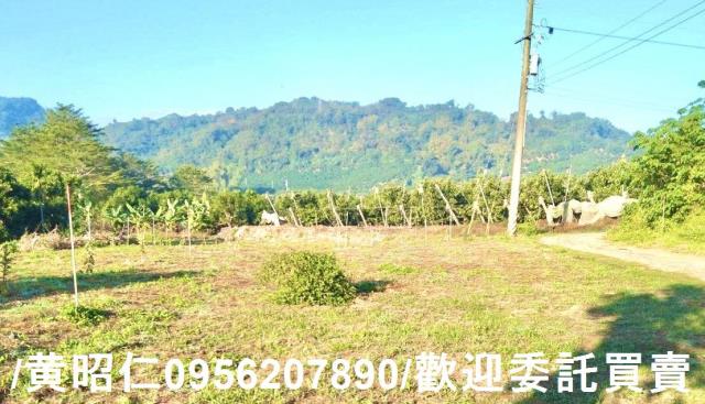 台南楠西農地-5